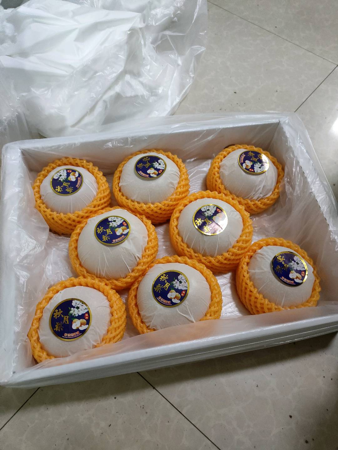 鞠先生秋月梨水果中的爱马仕