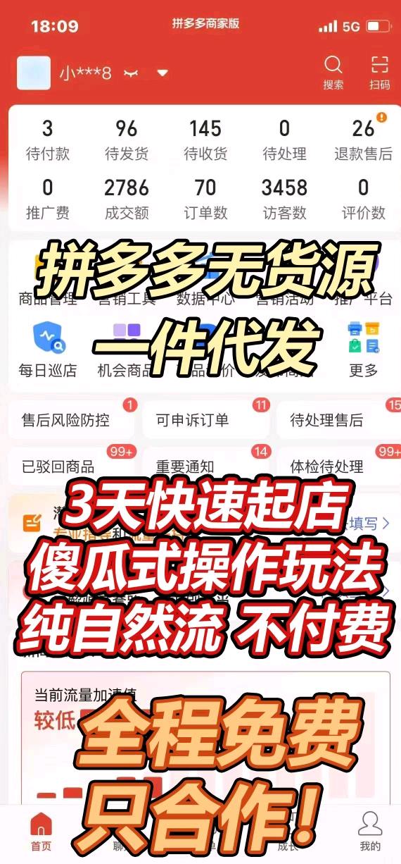 墨毛毛找合伙人拼多多开店一对一运营教，只合作不收费