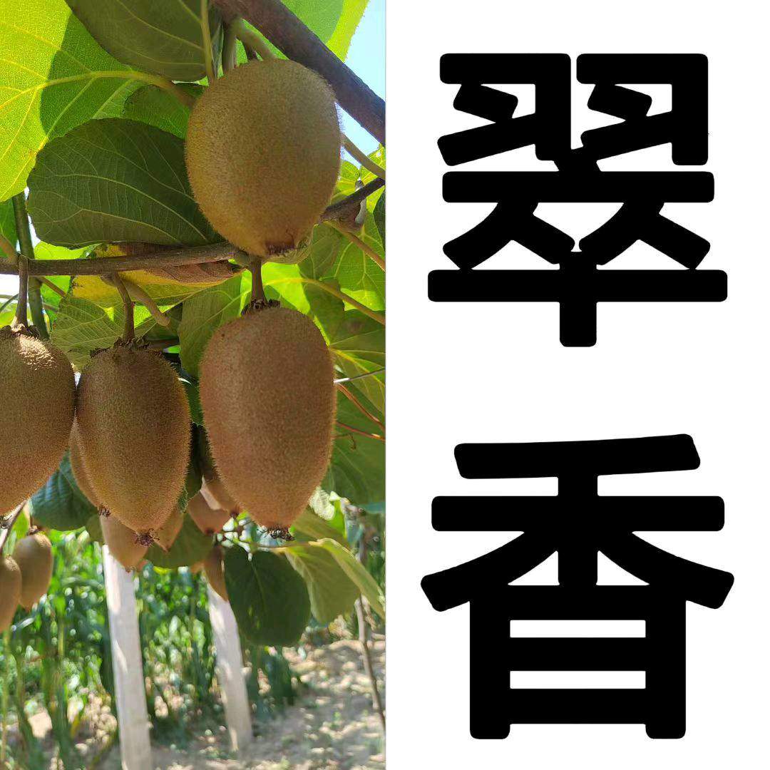 付余馨品牌货源正宗眉县猕猴桃
