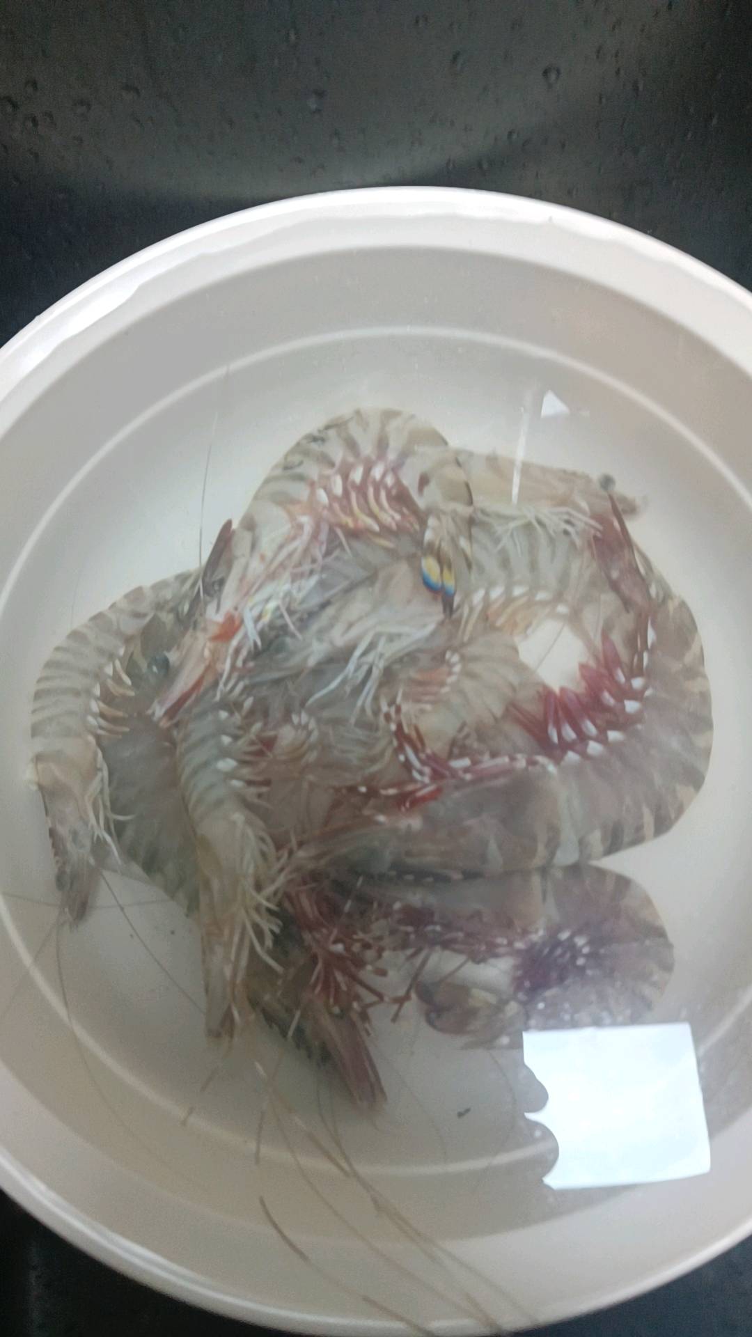 冯伟找合伙人
