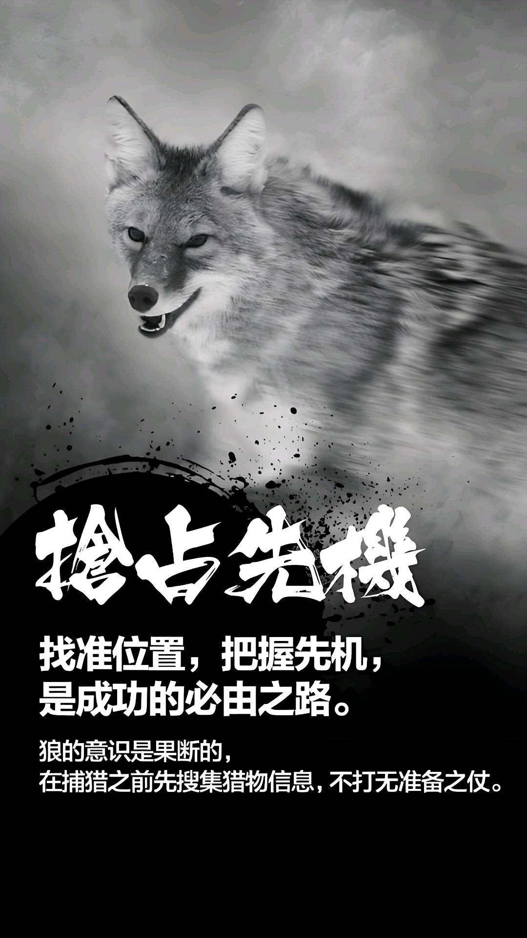 仲先生地推项目