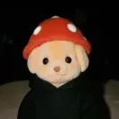 董修宇