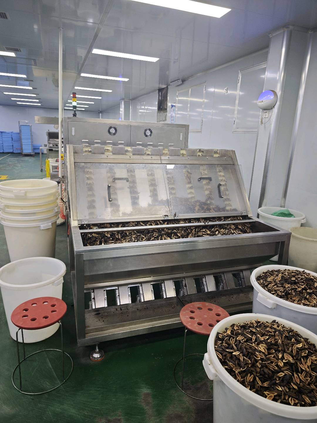 陈玉洁创业找项目：湘潭槟榔源头工厂，20多种口味，一件代发，诚寻代理合作