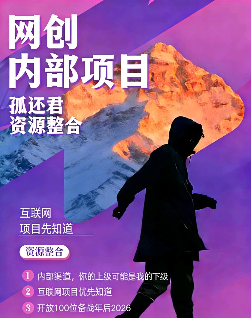 王先生其他供需蚂蚁财富项目，单价高简单易上手