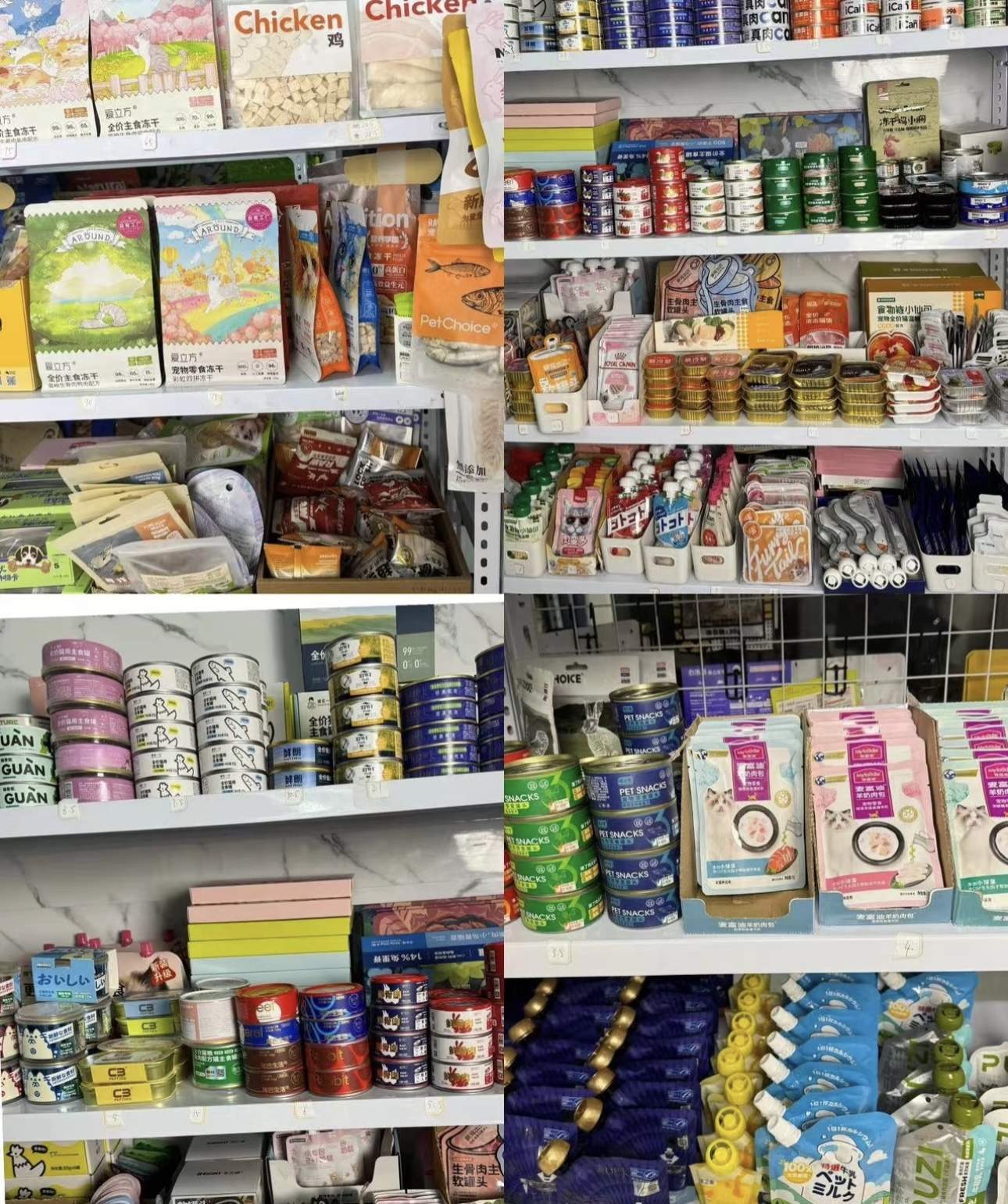 汪女士找合伙人