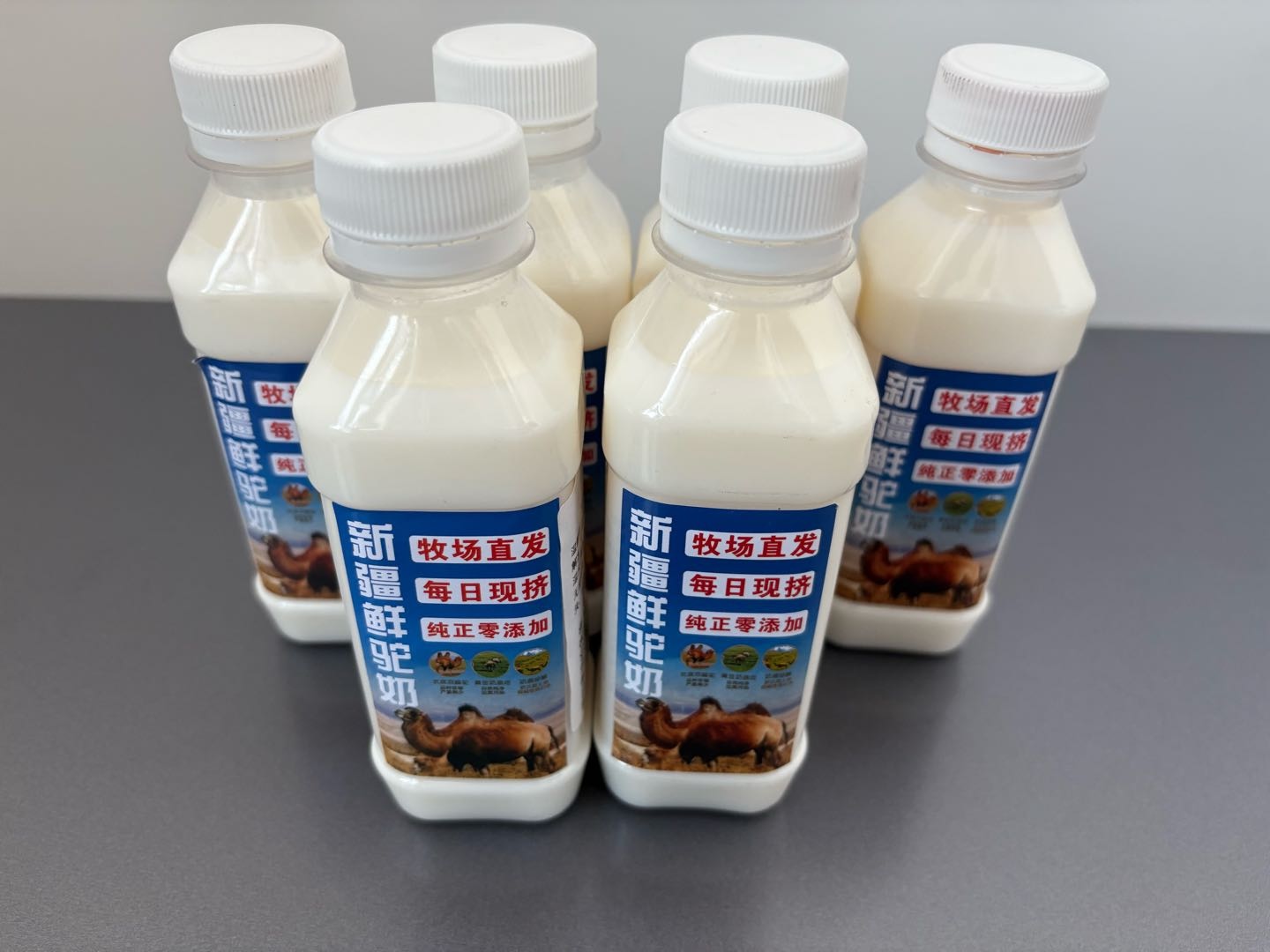 刘景文品牌货源稀缺货源，新鲜骆驼奶，自有牧场一手货源。寻线上线下合作。