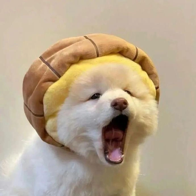 u客直谈实名认证路女士