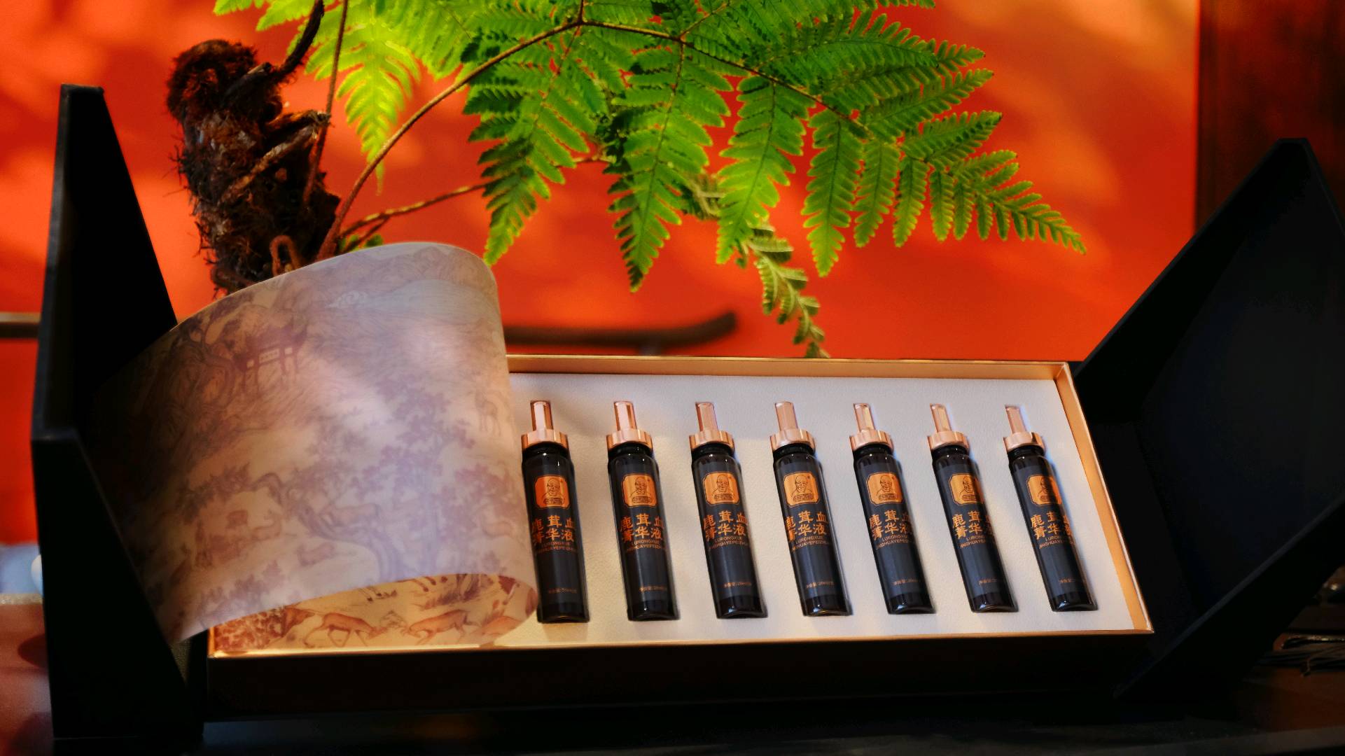 林振宇找合伙人