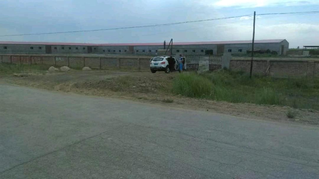郝先生场地活动