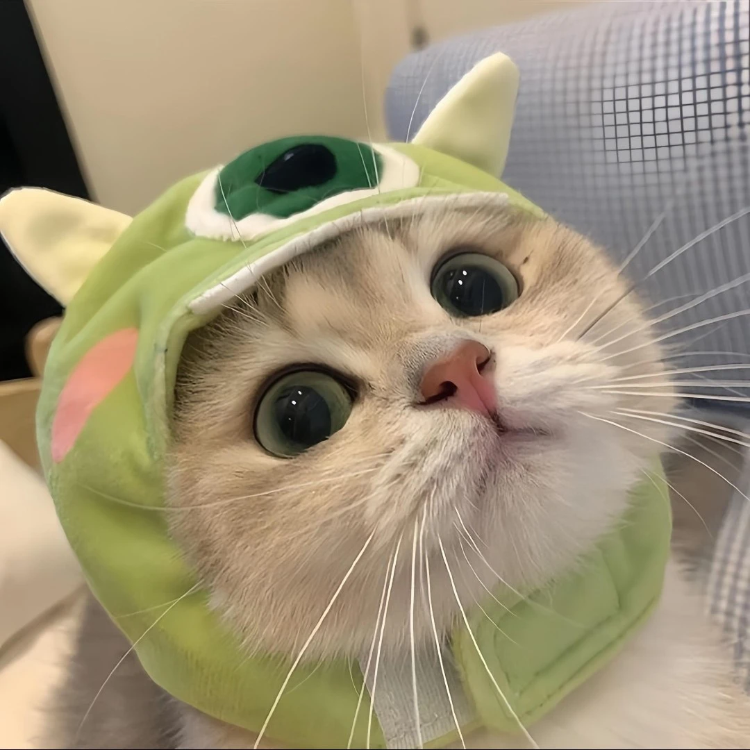 孙萍