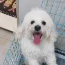 u客直谈实名认证李超