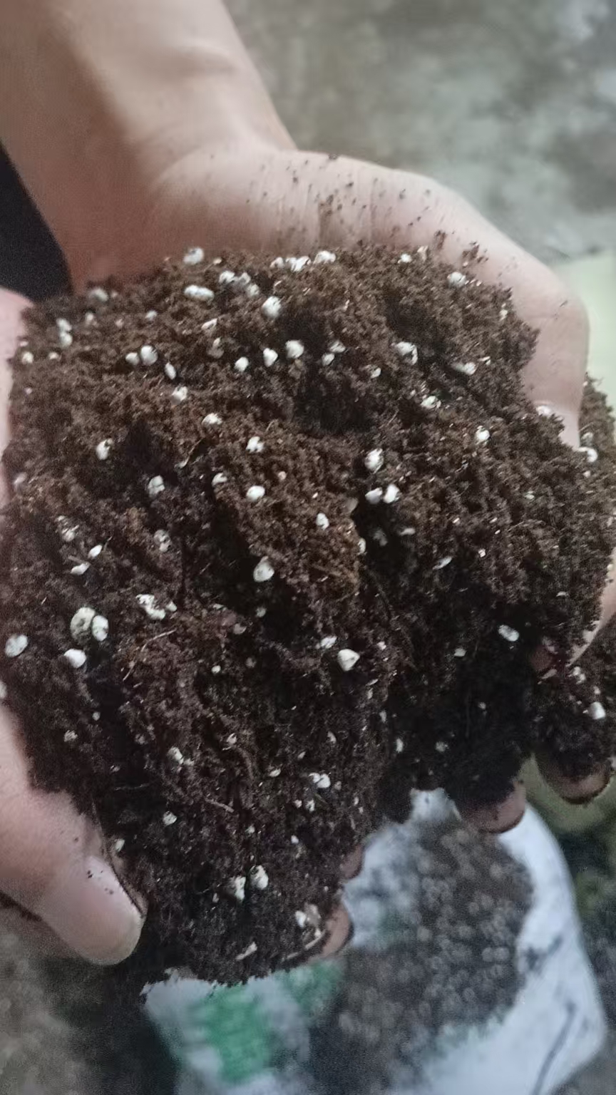 李先生品牌货源找主播带货，纯佣金模式