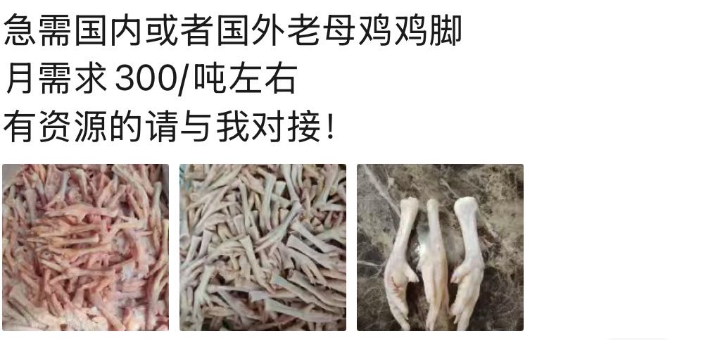 陈帅宇找合伙人