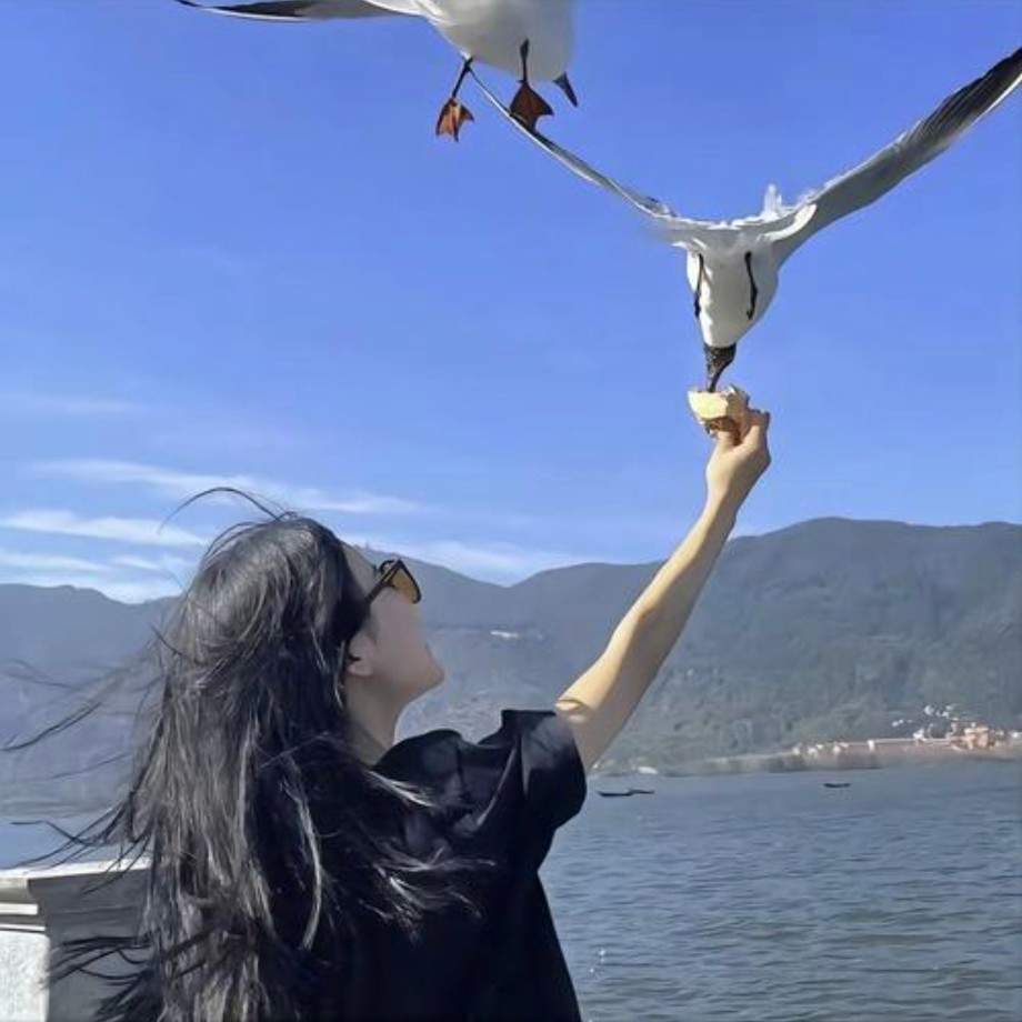 王鹤