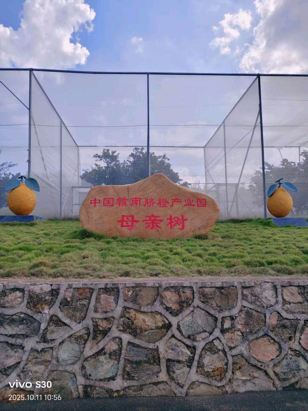 李先生品牌货源赣南信丰脐橙，招募代理  一件代发 