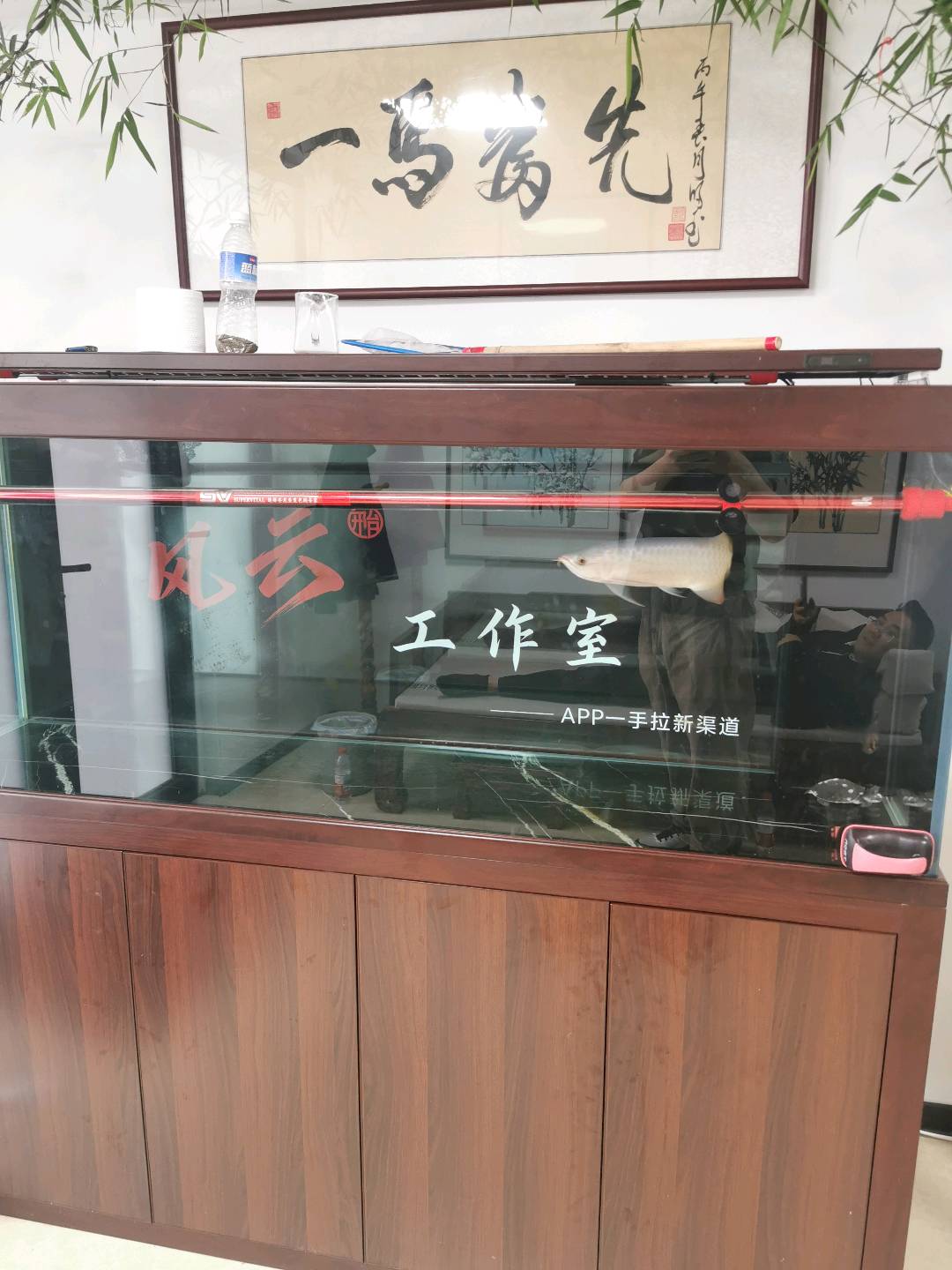 陈自雨其他供需