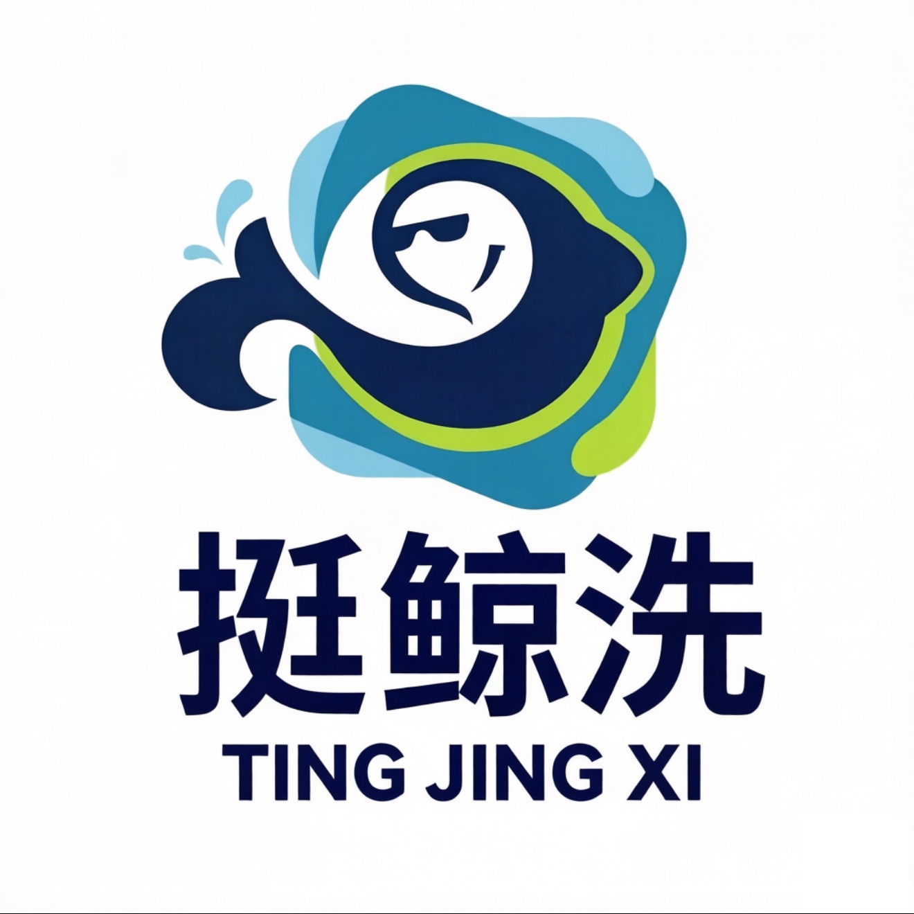 王瑞琦找合伙人寻求合伙人合作线上干洗项目，总部全程陪跑，*需投资
