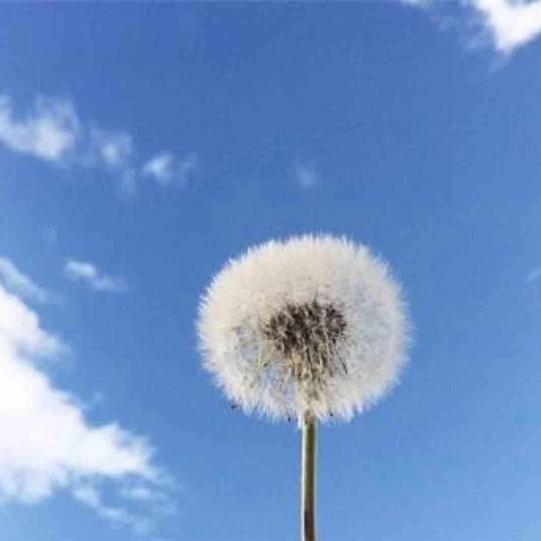 u客直谈实名认证律先生