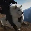 张毅