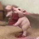 田炜
