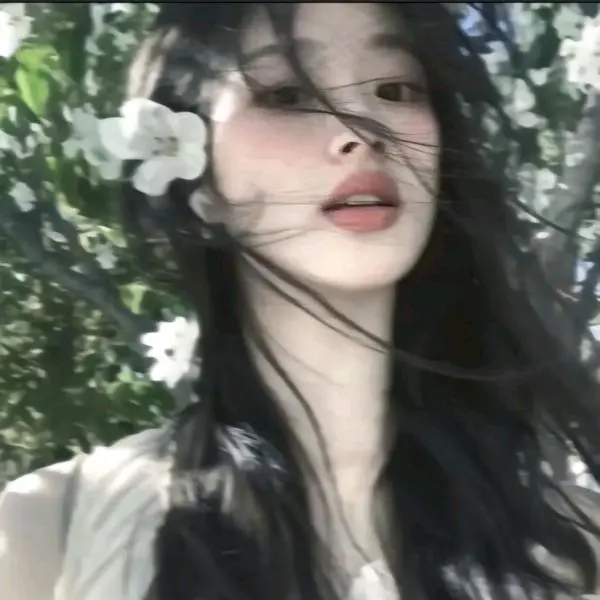 姚宇蝶
