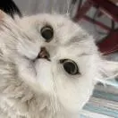 周洁