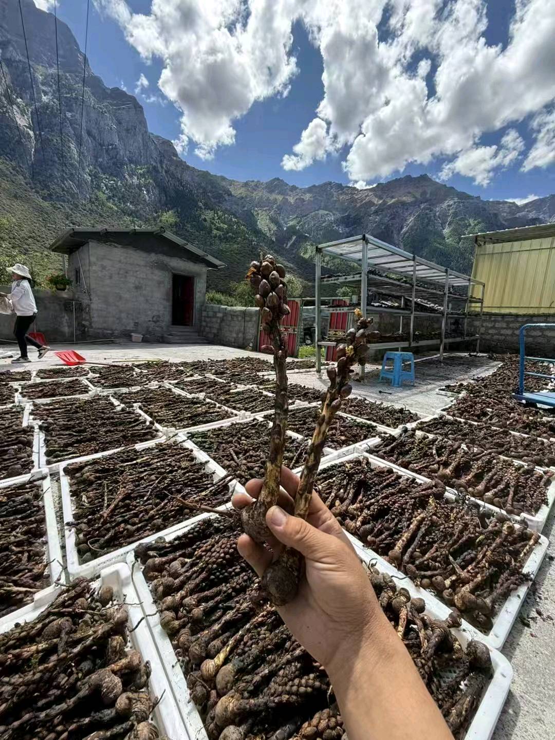 牛维谦传统文化资源合作，稀有材料+自媒体运营，资源入股高分成模式