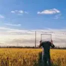 吴先生