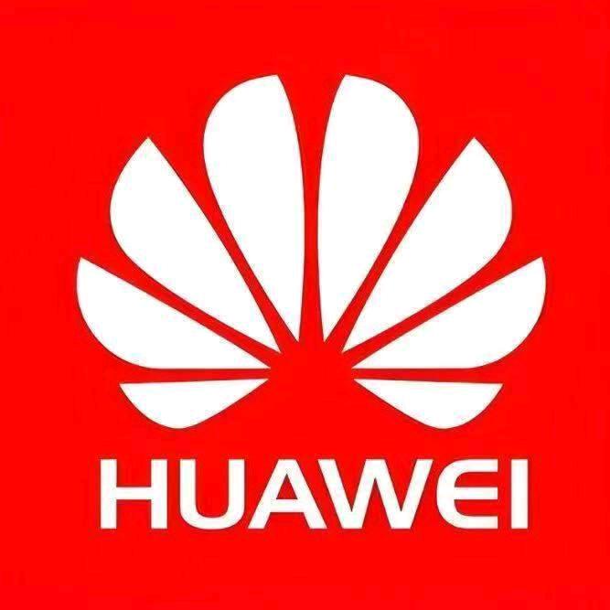 孙大林地推项目华为元服务二期 马上开工 500/家