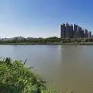 杨先生