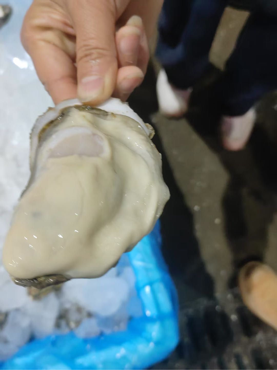 孙铭泽产地直采海鲜批发，每日鲜运不隔夜