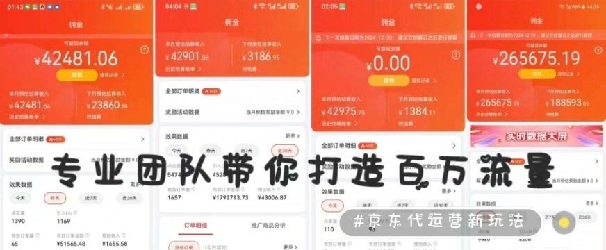 王雪其他供需京东代运营项目
