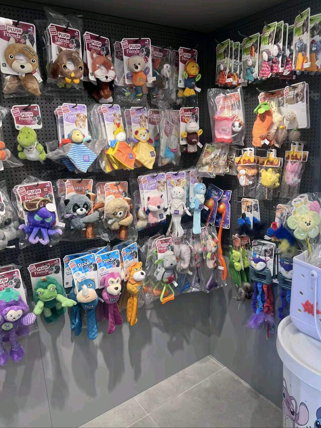 褥小碧品牌货源宠物供应商合作，支持一件代发，包运营选址，资质齐全