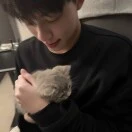 王先生