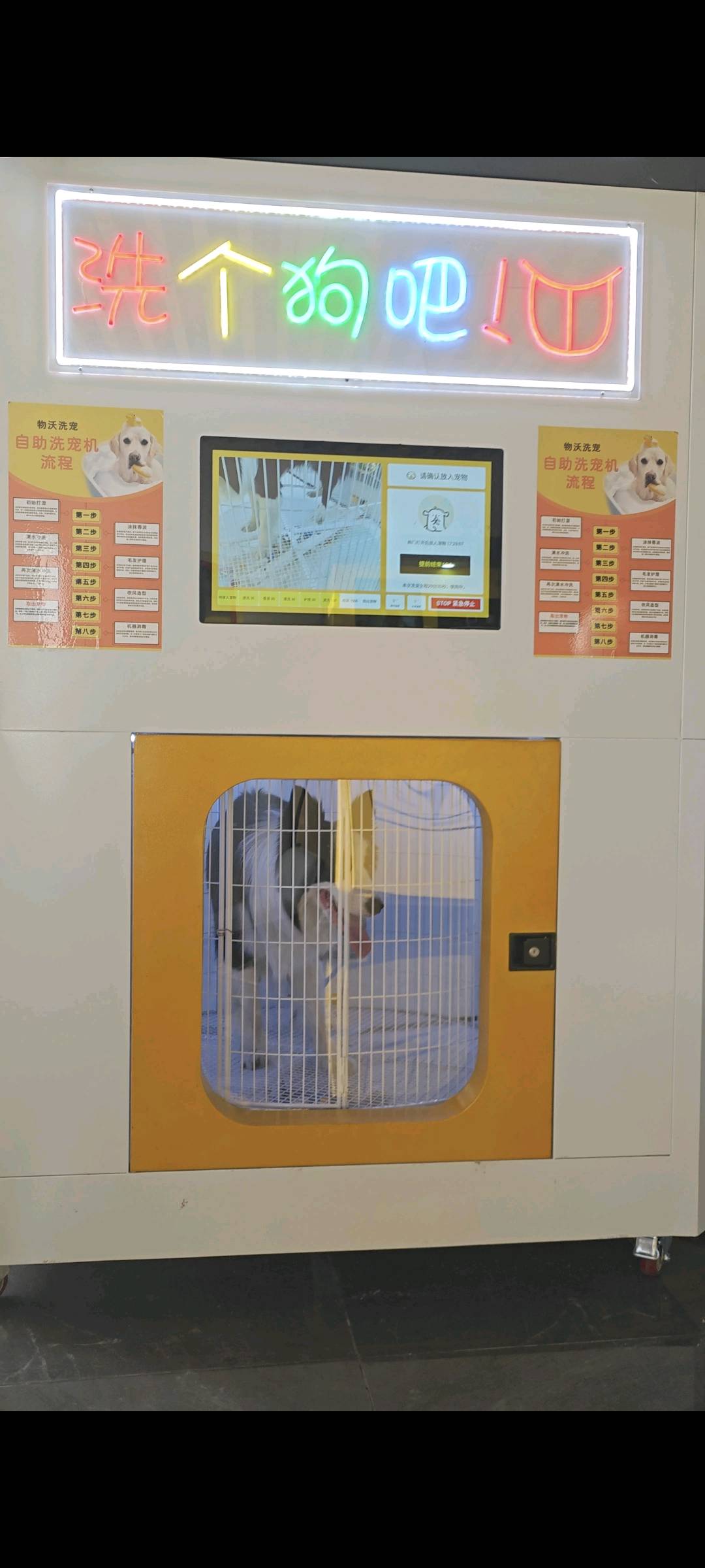 魏新宇品牌货源无人自助洗宠机投放小区 宠物店等