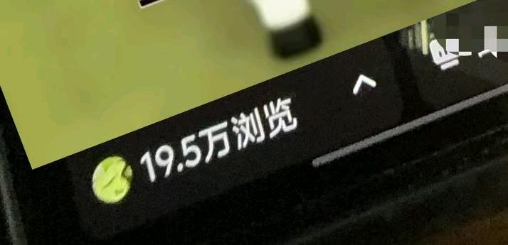 袁女士找合伙人