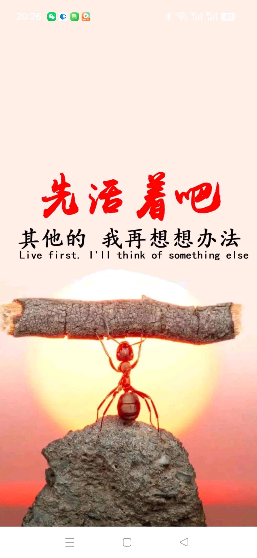 贾洪鹏其他供需电脑手机副业，稳定增收*