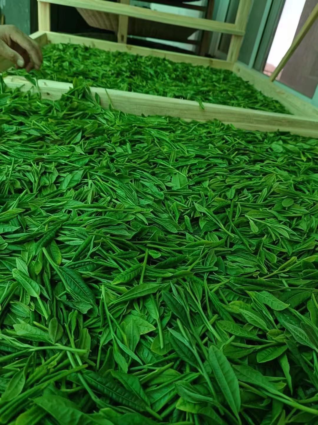 汪先生品牌货源
