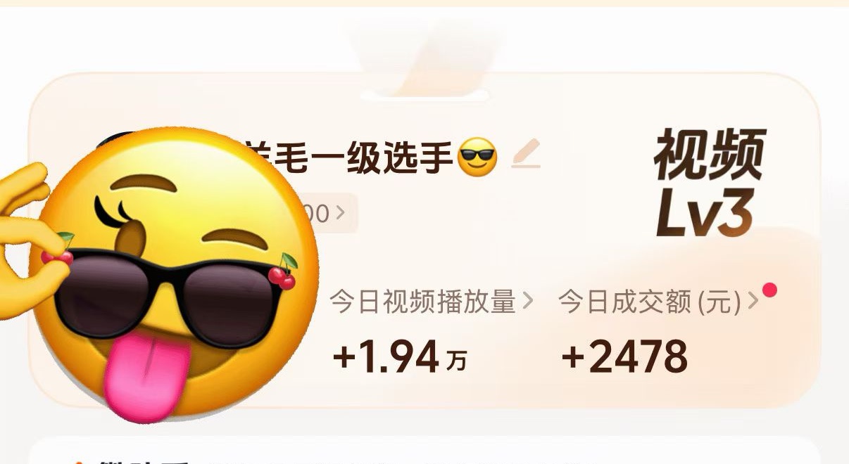 苗英达人孵化+商家陪跑 双赛道合作，诚邀合伙人加入