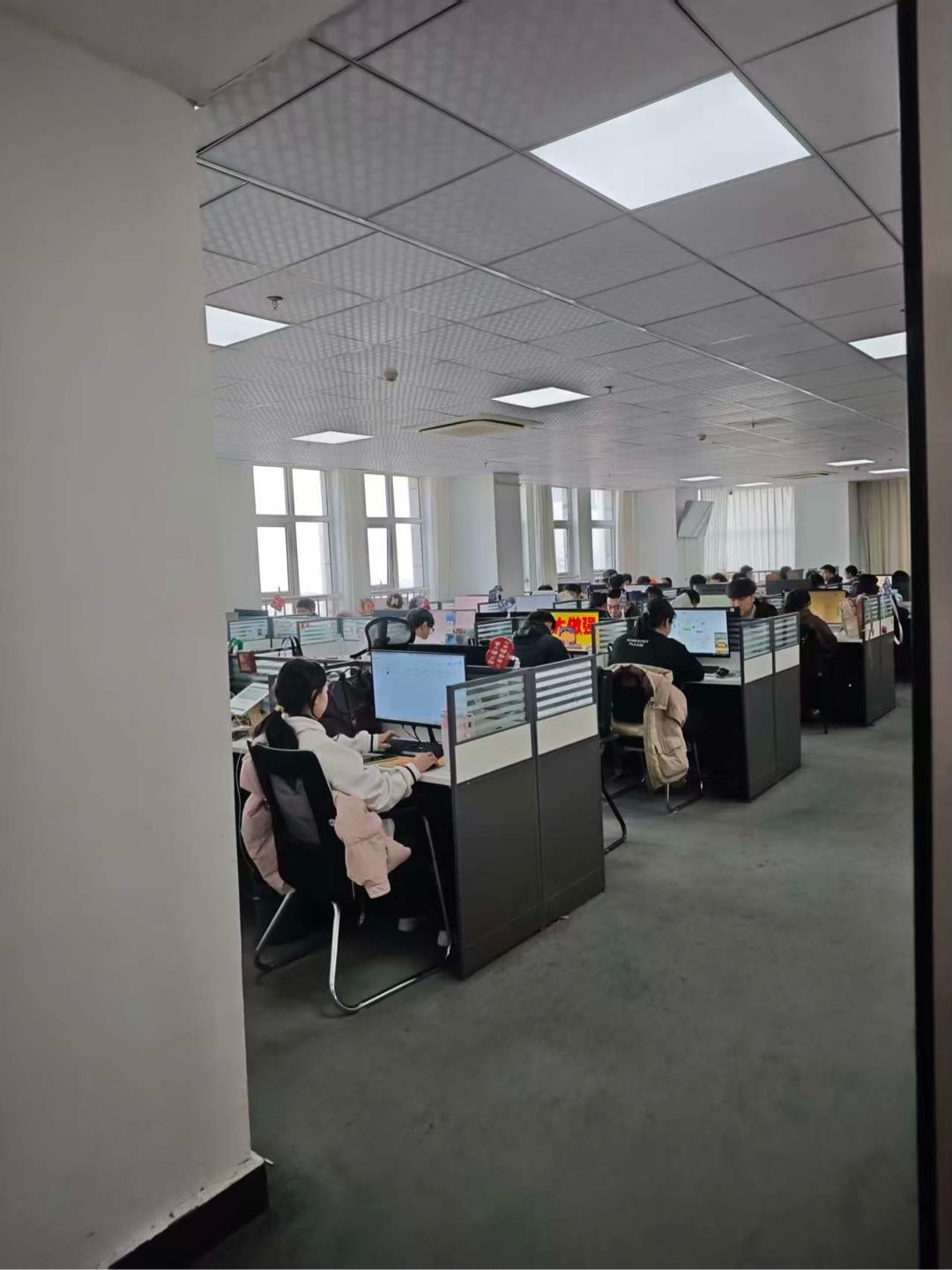 卢俊燃其他供需