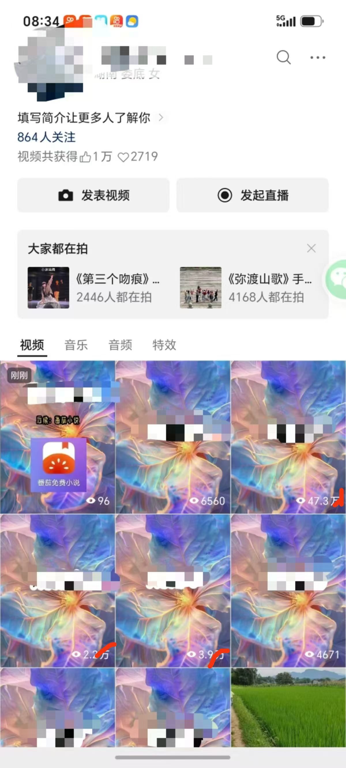 段女士找合伙人
