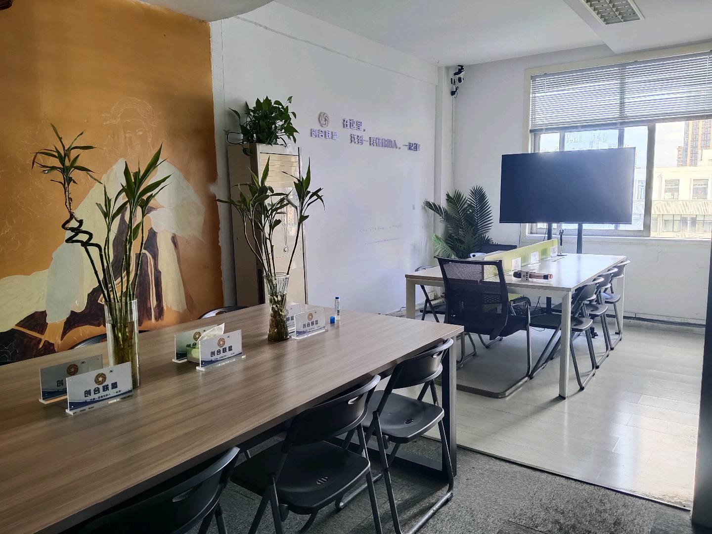 谢先生场地活动
