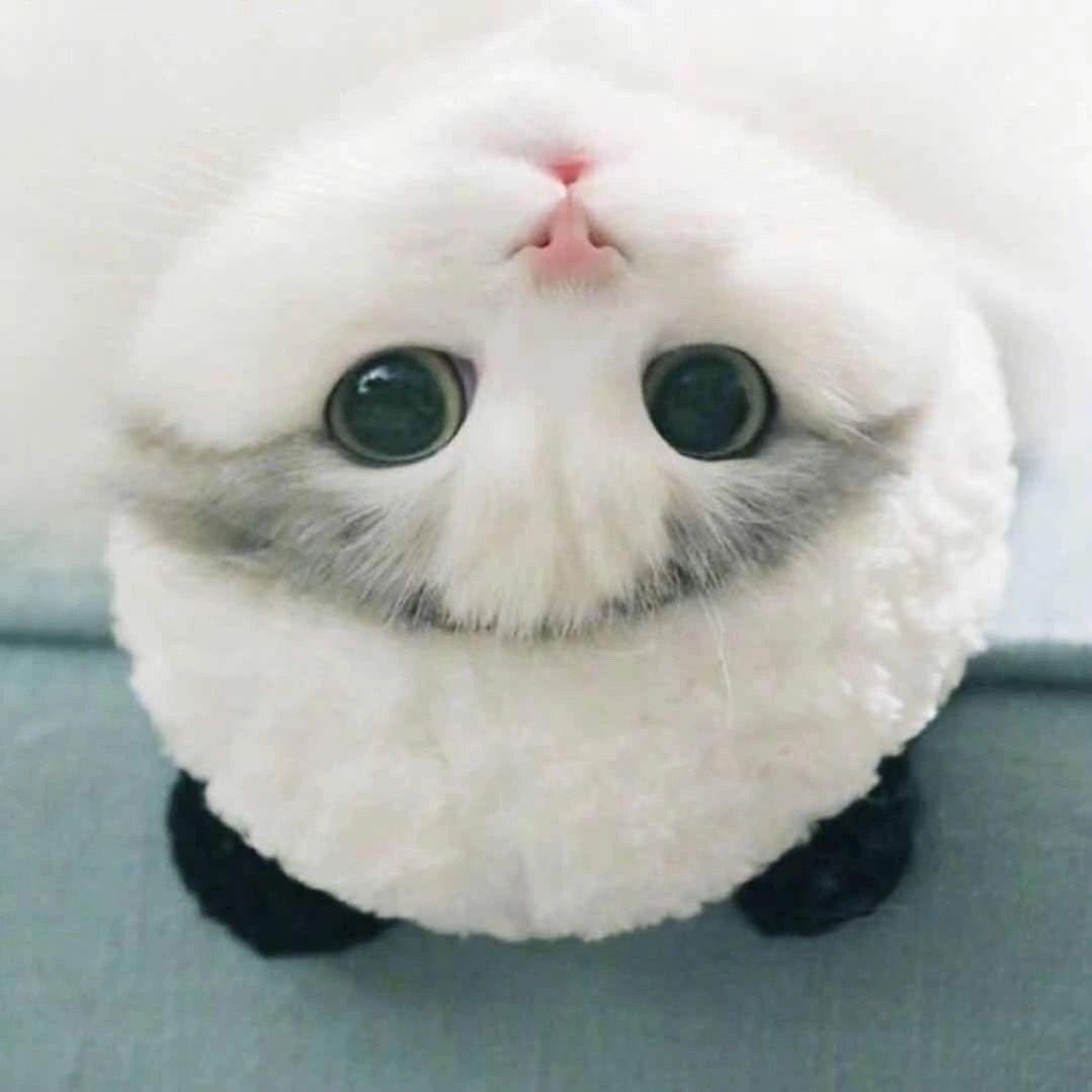 u客直谈实名认证崔龙才