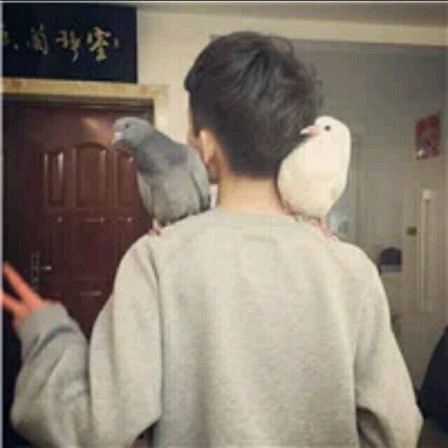徐先生