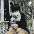 何女士