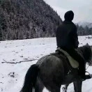 陈先生