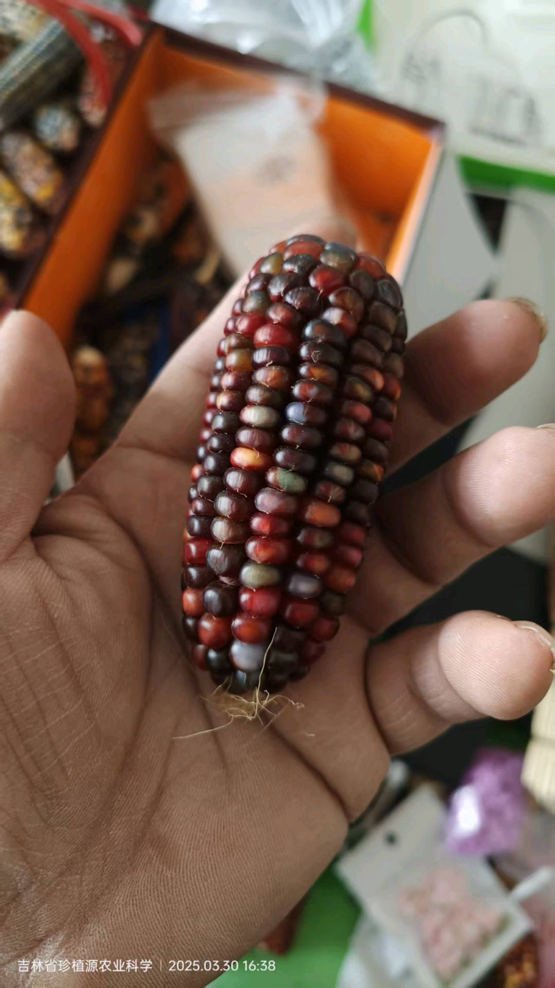 袁先生品牌货源