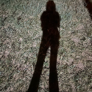 u客直谈实名认证张女士