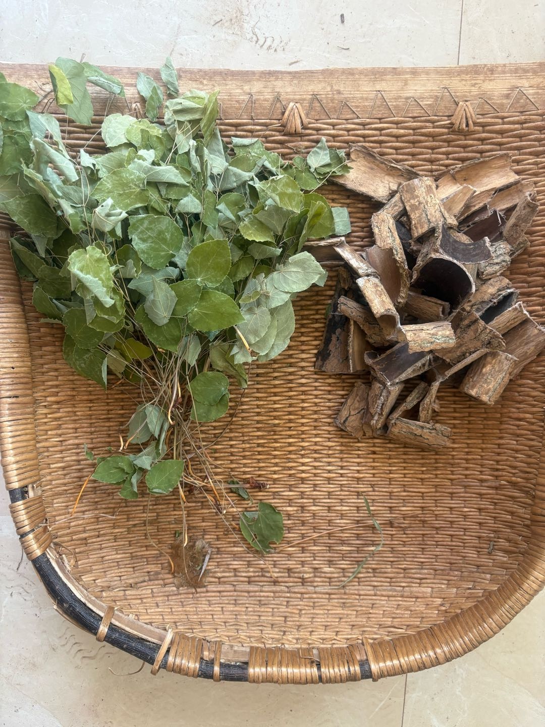 郭磊甘肃道地野生小叶淫羊藿寻求合作