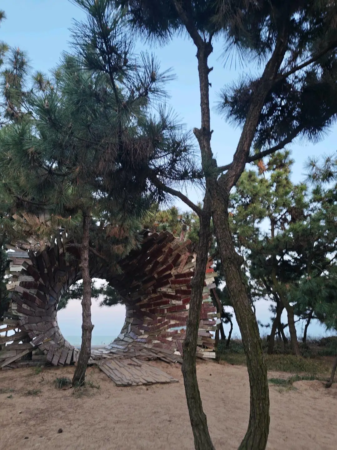 杨先生头像